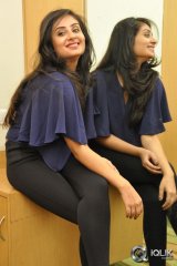 Bhanu Sri Mehra at Ala Ela Platinum Disc Function